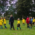 E-Junioren - ZFC Meuselwitz (21)