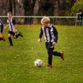 E-Junioren - SG Gera (11)