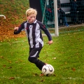E-Junioren - SG Gera (12)