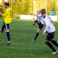 SV Rositz - Eintracht Sondershausen(38)