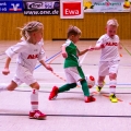 Bambiniturnier ZFC Meuselwitz (21)