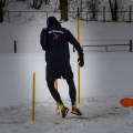 Training (17)