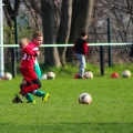 ZFC Meuselwitz - FJunioren (05)