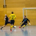 SV Rositz - Neujahrsturnier (17)