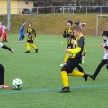 20260315-Turnier-in-Weida-F-Junioren-31