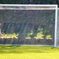 20260406-SV-Rositz-ZFC-Meuselwitz-II-33