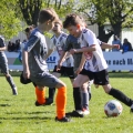 20260501-Turnier-in-Kretzschau-F-Junioren-03