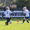 20260501-Turnier-in-Kretzschau-F-Junioren-30
