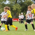 20260904-ASV-Wintersdorf-F-Junioren-23
