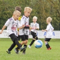 20260904-ASV-Wintersdorf-F-Junioren-24